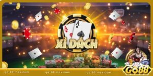 Cách chơi Xì Dách - Hướng dẫn toàn diện, dễ dàng áp dụng